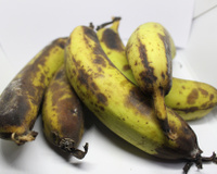 Quer fazer a banana durar mais? Truque fácil e imbatível evita o desperdício
