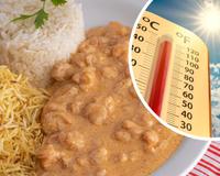 É uma boa ideia comer strogonoff neste calor? Descubra quais cuidados você precisa ter com a receita