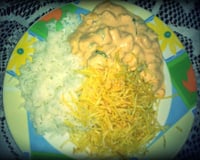 Estrogonofe de frango com requeijão