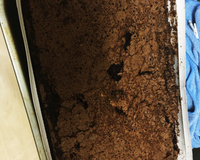 Bolo de chocolate de liquidificador