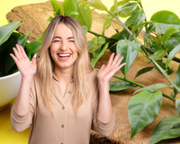 Ora-pro-nóbis: o que acontece com o corpo se você comer 10 folhas por dia?