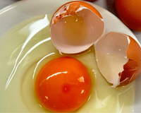 Não é salmonela: o que significa essa cor estranha no ovo, segundo alerta de um biólogo