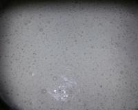 Maionese caseira de leite da Micheli !