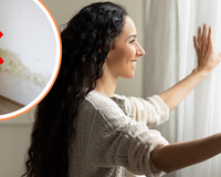 Abrir as janelas todos os dias é a solução para evitar fungos nas paredes de casa e esses especialistas indicam o tempo adequado