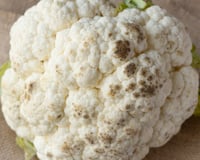 Couve-flor com pontinhos pretos: é seguro comer o vegetal mesmo assim?