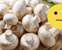 Pode comer cogumelo cru ou faz mal à saúde? A gente tira sua dúvida e explica quais cuidados deve ter!