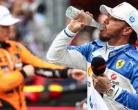 7 hábitos alimentares de Lewis Hamilton que todo vegano deveria adotar para viver melhor (mais energia e alta performance!)