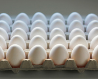 Ovos na geladeira ou na bancada da cozinha? TudoGostoso explica qual é a melhor maneira de armazenar o alimento