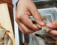 O truque infalível para descascar camarão em poucos minutos de um jeito muito fácil