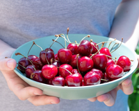Mais cerejas no Brasil? Entenda por que o excesso de oferta na China pode fazer a fruta ficar mais acessível no nosso país