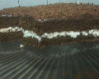 Torta morena da Vania