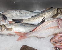 Evite estes 7 peixes: parecem saudáveis, mas escondem algo muito prejudicial