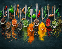 Como conservar temperos da forma correta: acabe com o desperdício