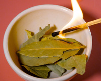 Para que serve queimar folha de louro? O truque antigo que minha avó me ensinou vai transformar sua casa