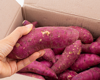 O que acontece com o corpo se você comer batata-doce todos os dias? Essa nutricionista explica os benefícios