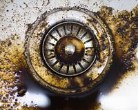 Poucos sabem, mas descartar borra de café na pia é um dos maiores erros cometidos na cozinha