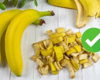 Poucos sabem, mas é por isso que você deve usar casca de banana nas suas plantas