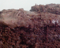 Bolo de mousse de chocolate