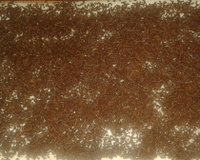 Pavê de chocolate com biscoito de maizena