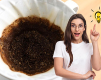 Nunca mais joguei a borra de café fora depois que eu aprendi as mil e uma utilidades dela!