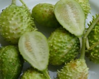 Esse vegetal esquecido nas feiras é um dos mais poderosos: conheça os benefícios do maxixe e como prepará-lo
