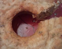 Torta de cenoura e ervilha