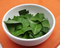 Se a sua mãe não te ensinou, eu te ensino: essas 3 plantas que você tem no quintal são cheias de nutrientes e você pode utilizar na cozinha