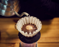 Rio Coffee Nation: produção cafeeira, degustação, drinks e sustentabilidade foram destaques da edição 2023; veja o que rolou!