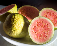 Goiaba é bom para quê? Descubra as vantagens de consumir mais essa fruta cheia de benefícios