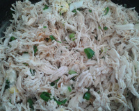 Frango desfiado de forno