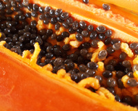 Se você tem semente de mamão em casa, você tem um tesouro: os benefícios de consumir o ingrediente e como usar no dia a dia