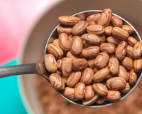 'Bean protein': feijão carioca na mira do mercado fit como poderoso concentrado de proteínas