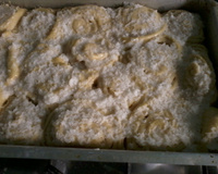 Rosca húngara da Sheila