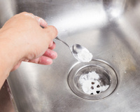 Como acabar com as baratas sem usar veneno: confira