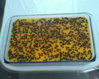 Mousse rápida de maracujá com calda