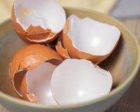 Se você tem casca de ovo em casa, você tem um tesouro: 6 maneiras de aproveitar o ingrediente no dia a dia