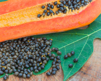Se você tem sementes de mamão, você tem um tesouro: 5 maneiras de usá-las em casa para não jogá-las fora