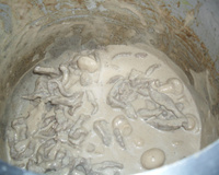 Estrogonofe de carne