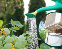 Pode usar a água do ar-condicionado para regar as plantas da sua casa?