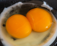 Pouca gente sabe o que significa encontrar ovos com duas gemas, mas eu te conto a verdade agora