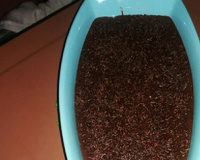 Sobremesa prestígio prática