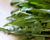 Essa hortaliça é amarga, mas os benefícios são doces para a saúde: limpa o organismo, ajuda na digestão e rica em fibras