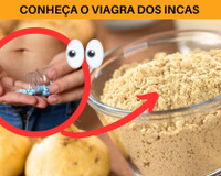 Viagra dos Incas? Descubra os benefícios da maca peruana e se tubérculo realmente é afrodisíaco