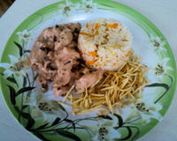 Estrogonoe com arroz, cenoura e batata palha