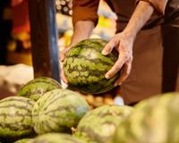As regras de ouro ao comprar melancias: como os profissionais escolhem a fruta perfeita e doce