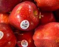 O que significa o adesivo nas frutas e legumes? Pode parecer inútil, mas ele pode te ajudar a fazer escolhas melhores no mercado