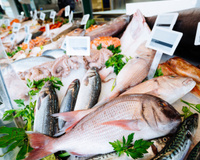 Dicas de preparo para cada tipo de peixe