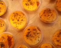 Massa de empada de liquidificador