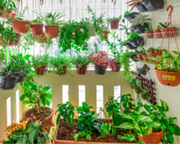 Especialista ensina como transformar sua varanda em uma mini horta cheia de vida e com ajuda tecnológica simples