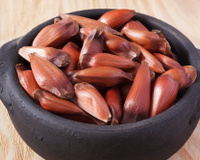 Como cozinhar pinhão de um jeito prático: TudoGostoso ensina a preparar a semente de Araucária